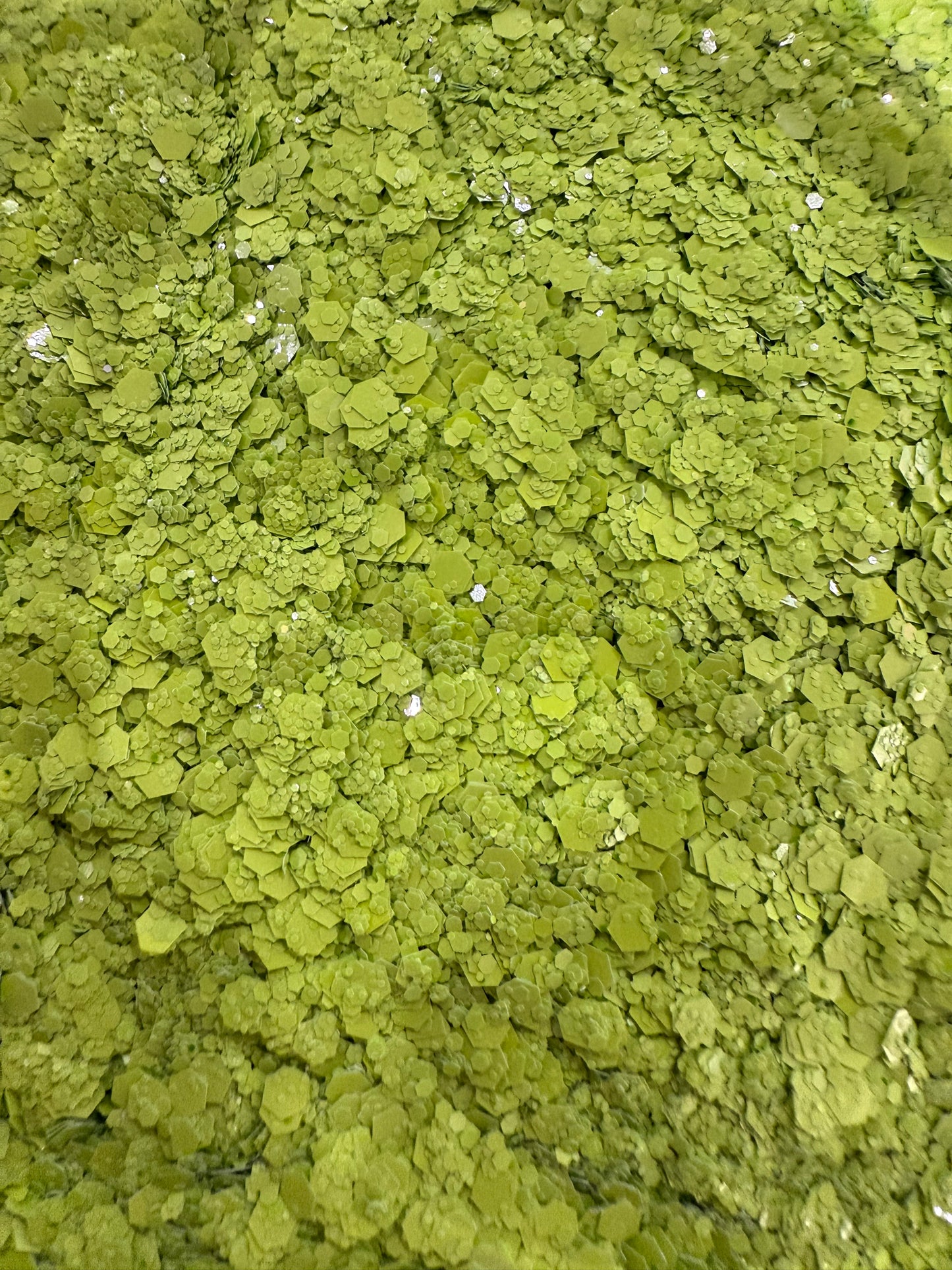 Green Apple Chunky Glitter